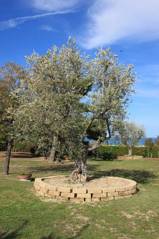 Villa Dolcevita San Costanzo 外观 照片